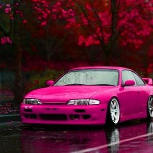 Meet your Posher, Zachary